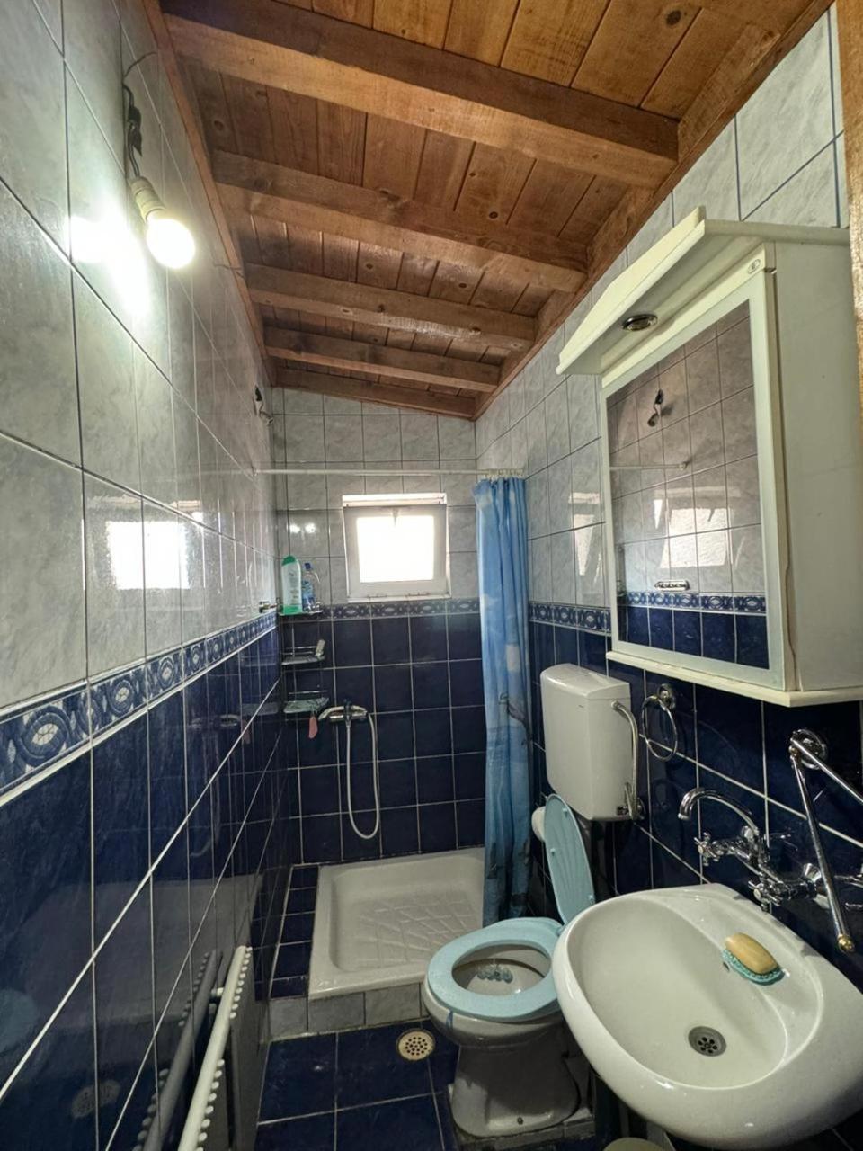 Vlado Apartments Podgorica Eksteriør billede